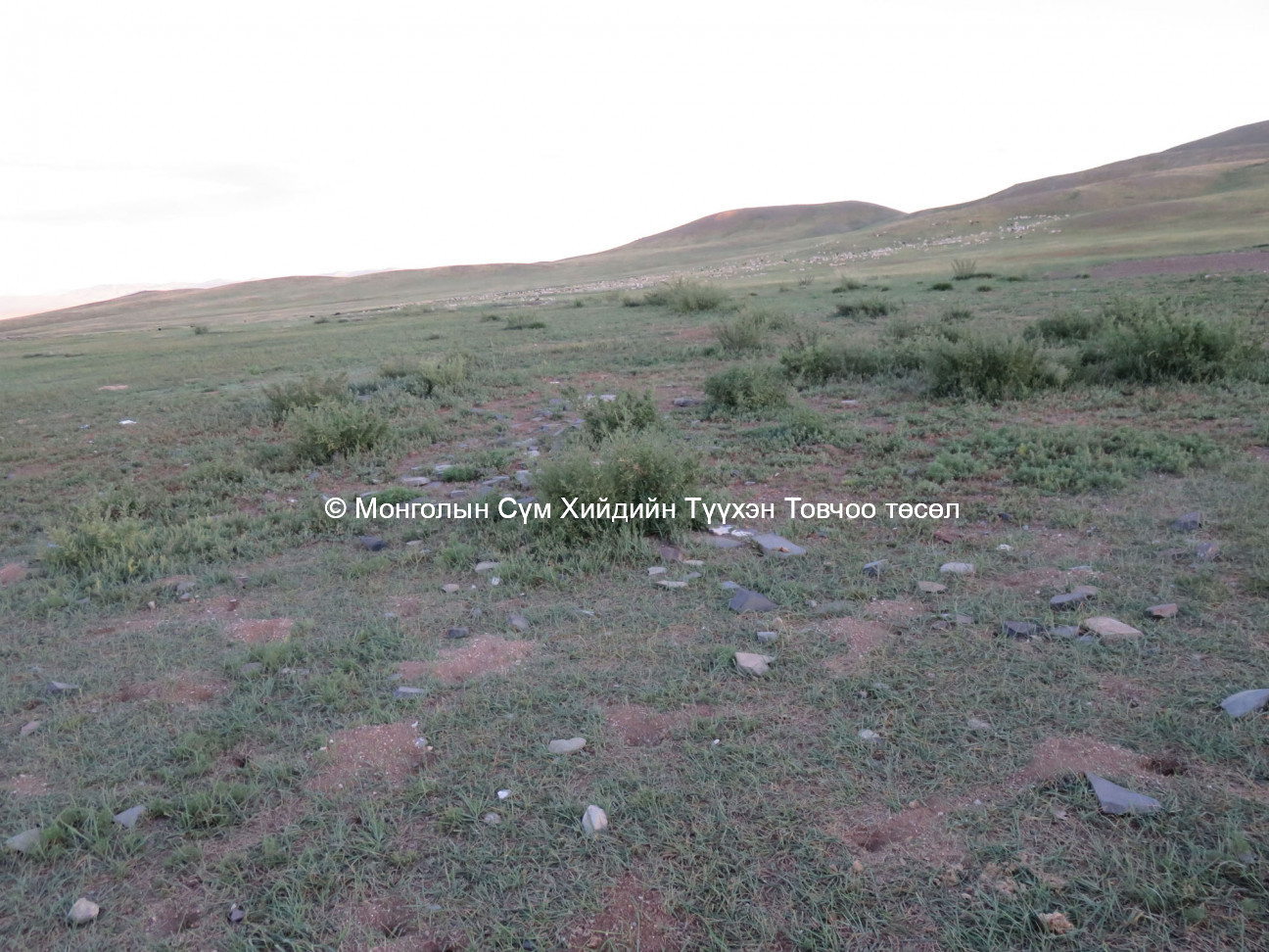 Southern section of the site